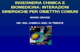 INGEGNERIA CHIMICA E BIOMEDICINA: INTERAZIONI SINERGICHE PER OBIETTIVI COMUNI MARIO GRASSI DIP. ING. CHIMICA UNIV. DI TRIESTE.