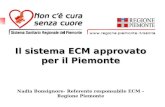 Il sistema ECM approvato per il Piemonte Nadia Bonsignore- Referente responsabile ECM – Regione Piemonte.