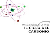 Unità didattica di Chimica IL CICLO DEL CARBONIO.