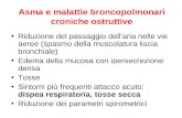 Asma e malattie broncopolmonari croniche ostruttive Riduzione del passaggio dell'aria nelle vie aeree (spasmo della muscolatura liscia bronchiale) Edema.