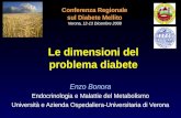 Conferenza Regionale sul Diabete Mellito Verona, 12-13 Dicembre 2008 Enzo Bonora Endocrinologia e Malattie del Metabolismo Università e Azienda Ospedaliera-Universitaria.