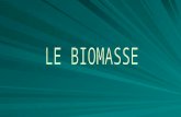 Biomasse: Per biomasse intendiamo un insieme di materiali di origine vegetale,scarti di attività agricole, allevamento o industria del legno che vengono.