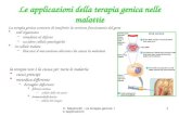 V. Mastrorilli - La terapia genica: le applicazioni 1 Le applicazioni della terapia genica nelle malattie La terapia genica consente di trasferire la versione.