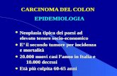 CARCINOMA DEL COLON EPIDEMIOLOGIA Neoplasia tipica dei paesi ad elevato tenore socio-economico E il secondo tumore per incidenza e mortalità 20.000 nuovi.