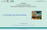 DIPARTIMENTO PROVINCIALE DI VERONA Fonti Rinnovabili di Energia Potenzialità ed applicazioni in Provincia di Verona Verona, 24 novembre 2004 Dr. Ottorino.