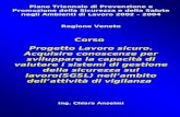 Piano Triennale di Prevenzione e Promozione della Sicurezza e della Salute negli Ambienti di Lavoro 2002 – 2004 Regione Veneto Corso Progetto Lavoro sicuro.