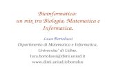 Bioinformatica: un mix tra Biologia, Matematica e Informatica. Luca Bortolussi Dipartimento di Matematica e Informatica, Universita di Udine. luca.bortolussi@dimi.uniud.it.