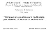 Università di Trieste e Padova Scuola di Dottorato in Ingegneria Industriale Indirizzo Ingegneria Chimica Relazione di dottorato XXI ciclo Simulazione.