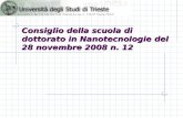 Consiglio della scuola di dottorato in Nanotecnologie del 28 novembre 2008 n. 12.
