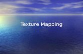 Texture Mapping. Cosa è Il Textuere Mapping? Il texture mapping é un processo di disegno grafico in cui una superfice bidimensionale(2-D),chiamata Texture.