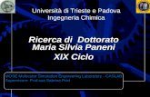 Università di Trieste e Padova Ingegneria Chimica Ricerca di Dottorato Maria Silvia Paneni XIX Ciclo MOSE Molecular Simulation Engineering Laboratory -