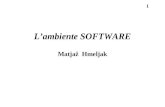 1 Lambiente SOFTWARE Matjaž Hmeljak. 2 software - presentazione per definizione un calcolatore sa eseguire alcune istruzioni dell'insieme di istruzioni.
