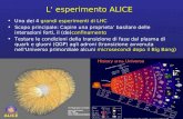 L esperimento ALICE Uno dei 4 grandi esperimenti di LHC Scopo principale: Capire una proprieta basilare delle interazioni forti, il (de)confinamento Testare.
