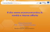 Il sito : novità e risorse offerte Chiara Finocchietti PNC – Italia Erasmus Mundus 27 gennaio 2011 Giornata nazionale Erasmus Mundus.