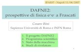 1 DAFNE2: prospettive di fisica e + e - a Frascati Cesare Bini Sapienza Università di Roma e INFN Roma IFAE07 - Napoli 11/04/2007 1.Il progetto DAFNE2.