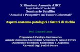 X Riunione Annuale AIRT Reggio Emilia, 5-7 Aprile 2006 Seminario Satellite Attualità e Prospettive sui Tumori Colorettali Aspetti anatomo-patologici e.