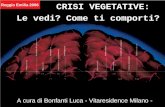 CRISI VEGETATIVE: A cura di Bonfanti Luca - Vitaresidence Milano - Le vedi? Come ti comporti? Reggio Emilia 2006.