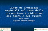 Reggio Emilia 18 febbraio 2010 Linee di indirizzo regionali sul tema della prevenzione e riduzione dei danni e dei rischi Mila Ferri Regione Emilia-Romagna.