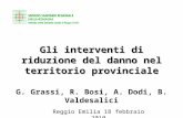 Gli interventi di riduzione del danno nel territorio provinciale Reggio Emilia 18 febbraio 2010 G. Grassi, R. Bosi, A. Dodi, B. Valdesalici.