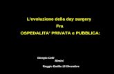 Lintegrazione pubblico privato Levoluzione della day surgery Fra OSPEDALITA PRIVATA e PUBBLICA: Reggio Emilia 15 Dicembre Giorgio Celli Rimini.