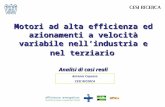 Motori ad alta efficienza ed azionamenti a velocità variabile nellindustria e nel terziario Analisi di casi reali Antonio Capozza CESI RICERCA.
