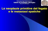 Università degli Studi di Sassari Istituto di Patologia Chirurgica Direttore: Prof. M. Trignano Le neoplasie primitive del fegato e le metastasi epatiche.