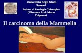 Università degli Studi Sassari Istituto di Patologia Chirurgica ( Direttore Prof. Mario Trignano) Il carcinoma della Mammella.
