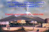 ASL NAPOLI 1 - OSPEDALE S. PAOLO DIVISIONE DI CHIRURGIA Primario : R. Angelo Caliendo F.A.C.S. Urgenze emorragiche del colon-retto.