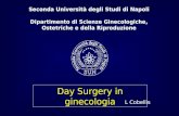 Day Surgery in ginecologia Seconda Università degli Studi di Napoli Dipartimento di Scienze Ginecologiche, Ostetriche e della Riproduzione L Cobellis.