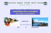 Università degli Studi dellInsubria Sede di Varese CORSO DI LAUREA INTERFACOLTA IN : INGEGNERIA PER LA SICUREZZA DEL LAVORO E DELLAMBIENTE Engineering.