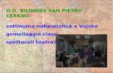 D.D. BILINGUE SAN PIETRO - CERKNO settimana naturalistica a Vojsko gemellaggio classi spettacoli teatrali.