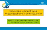 Sicurezza: competitività, organizzazione, comunicazione Marco Frey, Francesco Bacchini, Carlo Galimberti, Fabiana Gatti.