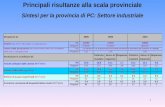 1 Principali risultanze alla scala provinciale Sintesi per la provincia di PC: Settore industriale.