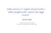 Sulla natura e l origine del ginocchio e della caviglia nello spettro dei raggi cosmici Antonio Codino Dipartemento di Fisica e INFN dell'Università degli.