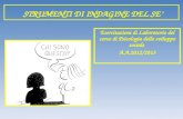 STRUMENTI DI INDAGINE DEL SE Esercitazioni di Laboratorio del corso di Psicologia dello sviluppo sociale A.A.2012/2013.