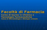 1 Facoltà di Farmacia Corso di laurea in Chimica e Tecnologia Farmaceutiche Corso di Microbiologia e Biologia animale.