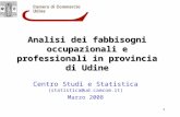 1 Analisi dei fabbisogni occupazionali e professionali in provincia di Udine Centro Studi e Statistica (statistica@ud.camcom.it) Marzo 2008.