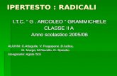 IPERTESTO : RADICALI I.T.C. G. ARCOLEO GRAMMICHELE CLASSE II A Anno scolastico 2005/06 ALUNNI: C.Attaguile, V. Fragapane,D.Iudica, M. Murgo, M.Novello,