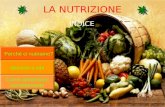 LA NUTRIZIONE INDICE Perché ci nutriamo? Alimenti e cibi Come alimentarsi correttamente.