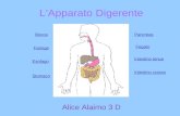LApparato Digerente Fegato Intestino crasso Faringe Bocca Esofago Stomaco Pancreas Intestino tenue Alice Alaimo 3 D.