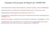 Impegno del gruppo di Napoli per NEMO-RD -Test elettronica di piano (funzionamento, controllo qualita, calcolo affidabilita) -Implementazione di elettronica.