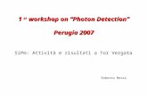 1 st workshop on Photon Detection Perugia 2007 SiPm: Attività e risultati a Tor Vergata Roberto Messi.