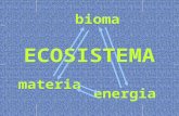 Materia energia bioma ECOSISTEMA. bioma Ecosistema - BIOMA: DOMINI Albero filogenetico della vita Ecosistema - BIOMA: DOMINI Albero filogenetico della.
