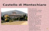 Castello di Montechiaro Uno dei più interessanti castelli del piacentino che si trova nel comune di Rivergaro è quello di Montechiaro. La sua struttura.