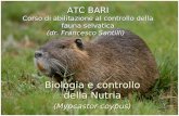 ATC BARI Corso di abilitazione al controllo della fauna selvatica (dr. Francesco Santilli) Biologia e controllo della Nutria (Myocastor coypus)