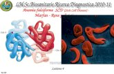 By NA Anemia falciforme SCD (Sicle Cell Disease) - Marfan - Rene policistico Lezione 4.