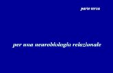 Per una neurobiologia relazionale parte terza. Il modello di Gerald Edelman la relazione corpo-mondo è inscritta nella struttura del s.n.