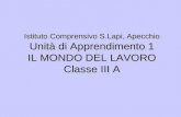 Istituto Comprensivo S.Lapi, Apecchio Unità di Apprendimento 1 IL MONDO DEL LAVORO Classe III A.