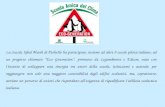 La Scuola Iqbal Masih di Pioltello ha partecipato, insieme ad altre 9 scuole pilota italiane, ad un progetto chiamato Eco Generation, promosso da Legambiente.