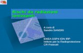 Rischi da radiazioni ionizzanti A cura di Sandro SANDRI ENEA GSP4 ION IRP Istituto per la Radioprotezione CR Frascati.